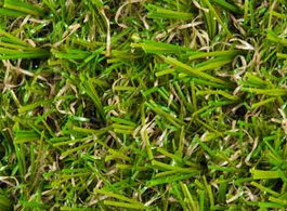 Namgrass-Kunstgras-Green-Bliss