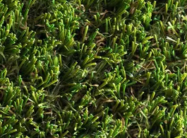 Namgrass-Kunstgras-Green-Infinity